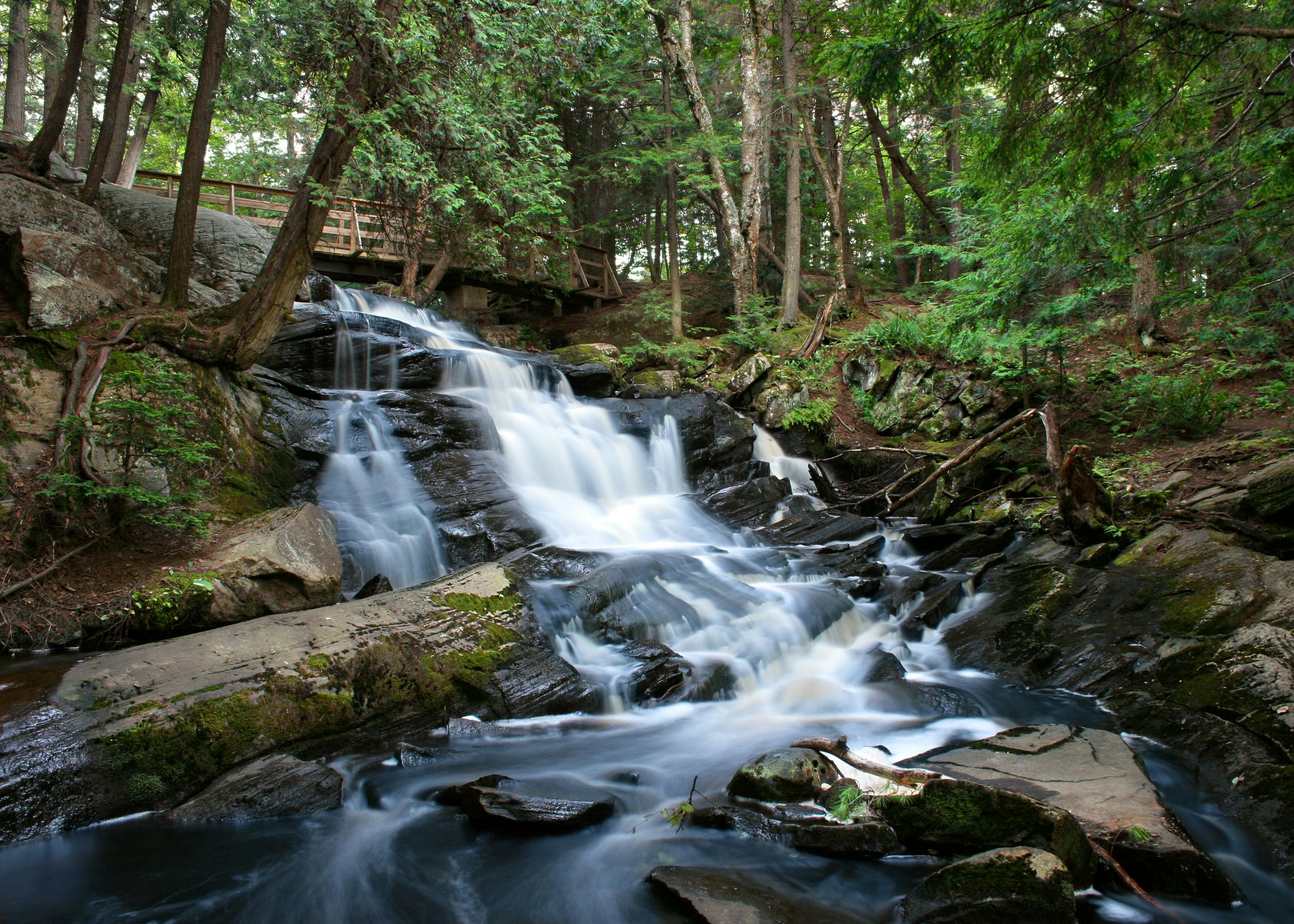 A picture of a waterfall in a forest.